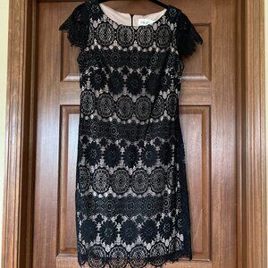 Eliza J Black Lace Dress
